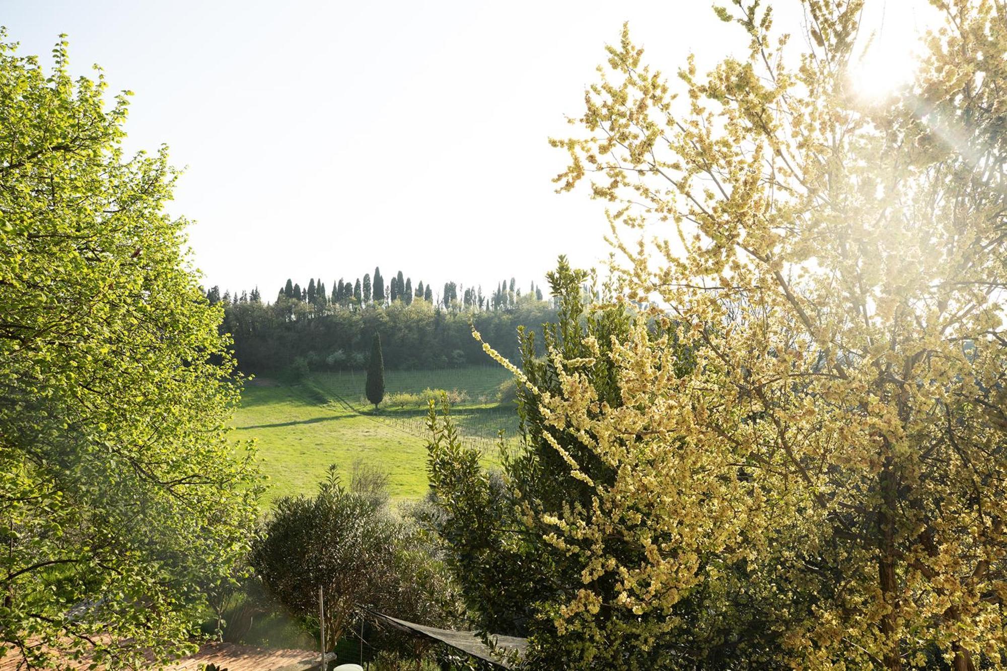 Relais La Rocca Solferino Bed & Breakfast Bagian luar foto