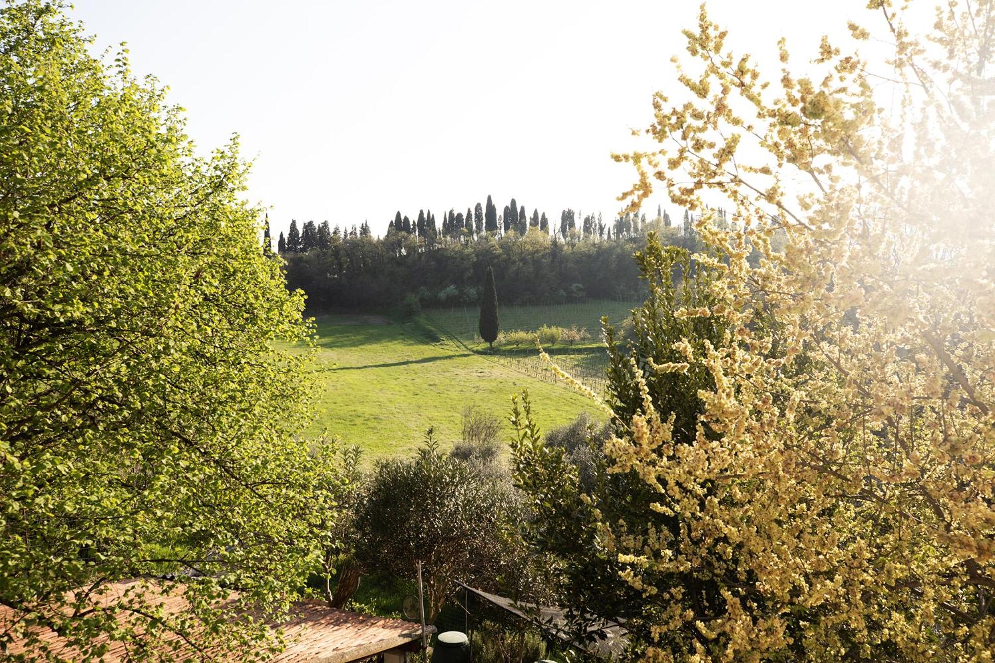 Relais La Rocca Solferino Bed & Breakfast Bagian luar foto